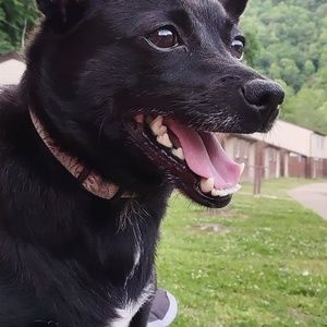 Meet your Posher, Laurie